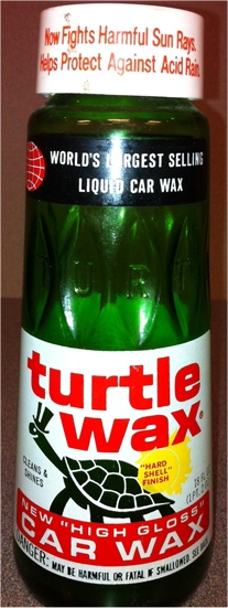 turtle old