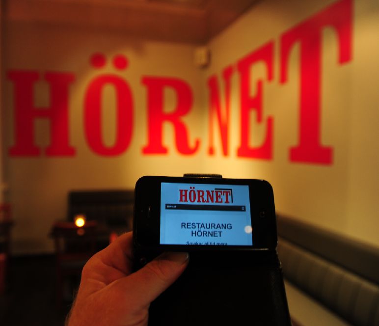 hornet02