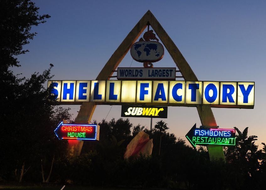 shellfactory25